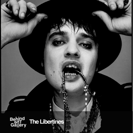 Collection image for: The Libertines